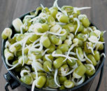 Green-Gram-Sprouts-mung