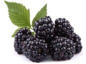 blackberry-fruit-250x250